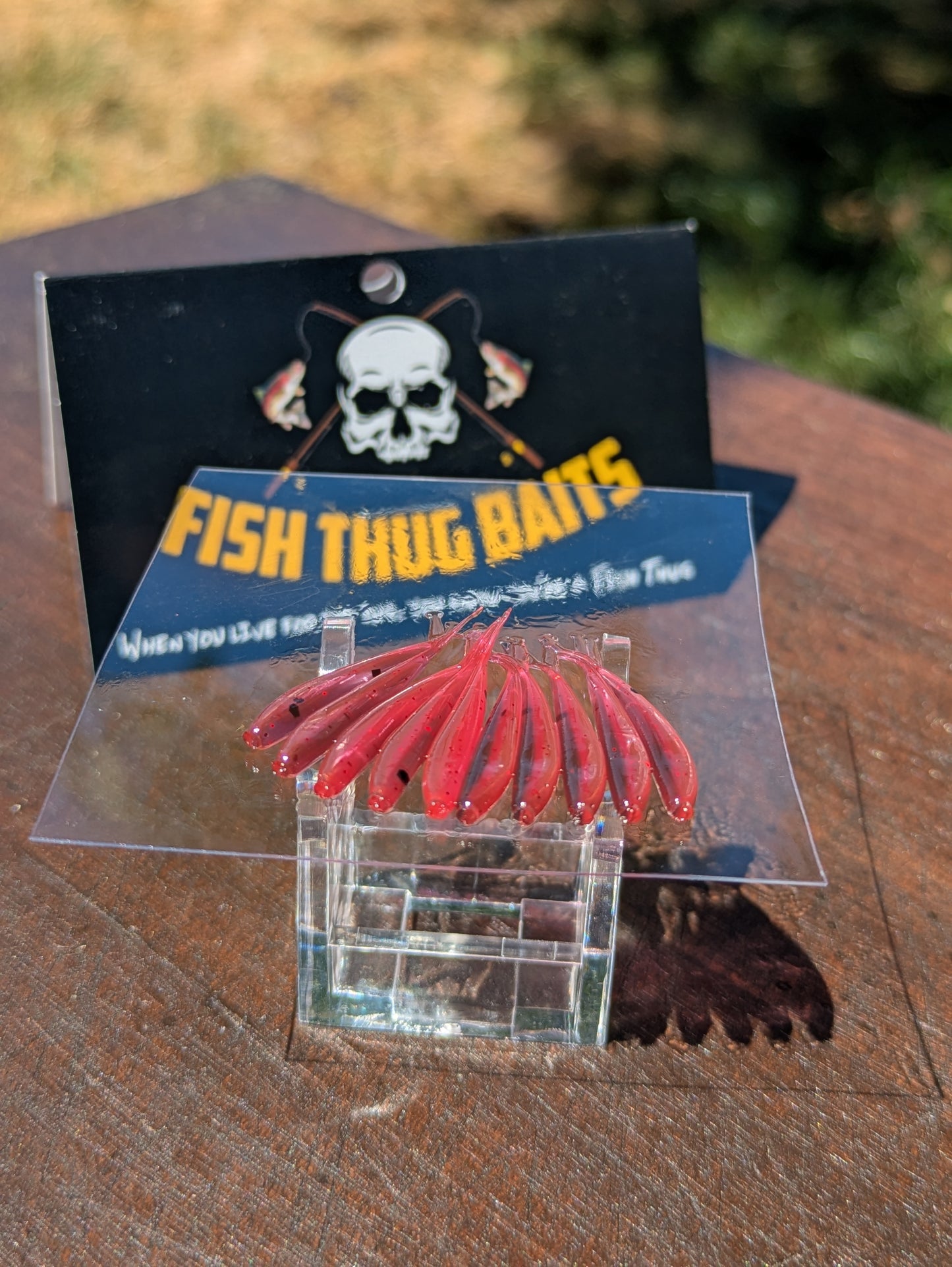 Fish Thugs - Fire & Ice (Small)