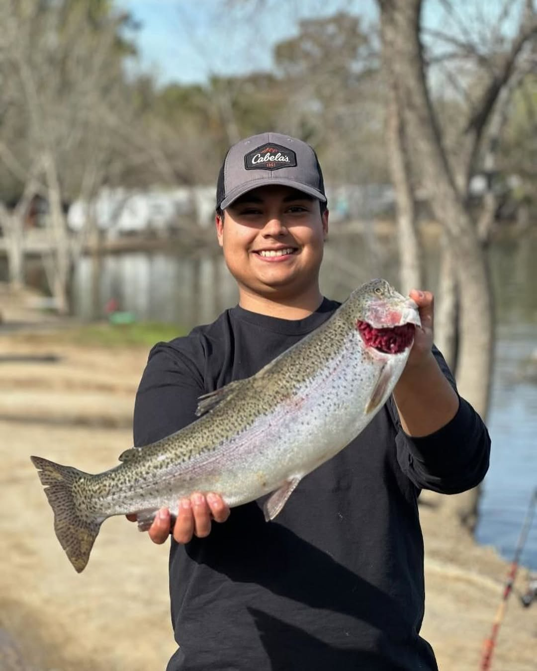 Fish Thugs - Grey Blue (Large) 7-Pack