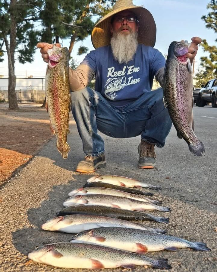 Fish Thugs - Sunset (Large) 7-Pack