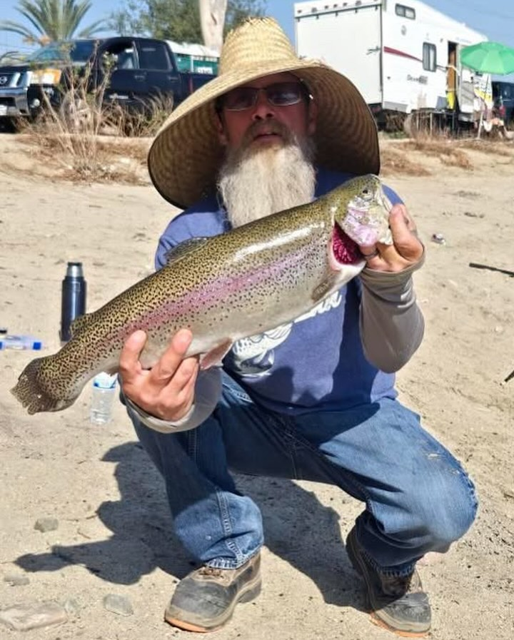 Fish Thugs - Tree Frog (Large) 7-Pack