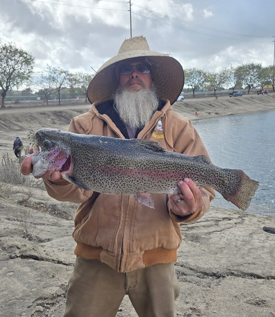 Fish Thugs - Tree Frog (Medium) 8-Pack