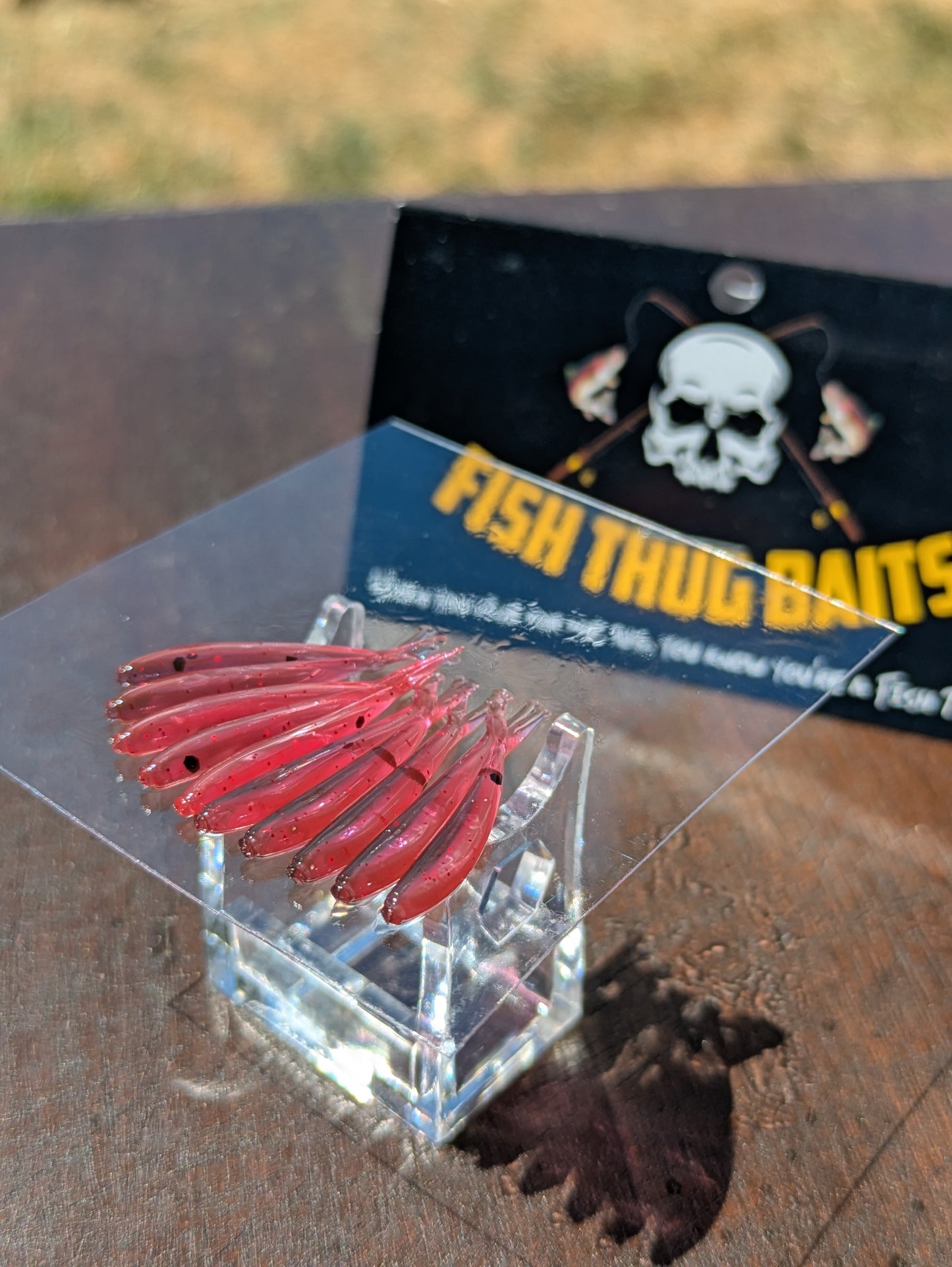 Fish Thugs - Fire & Ice (Small)