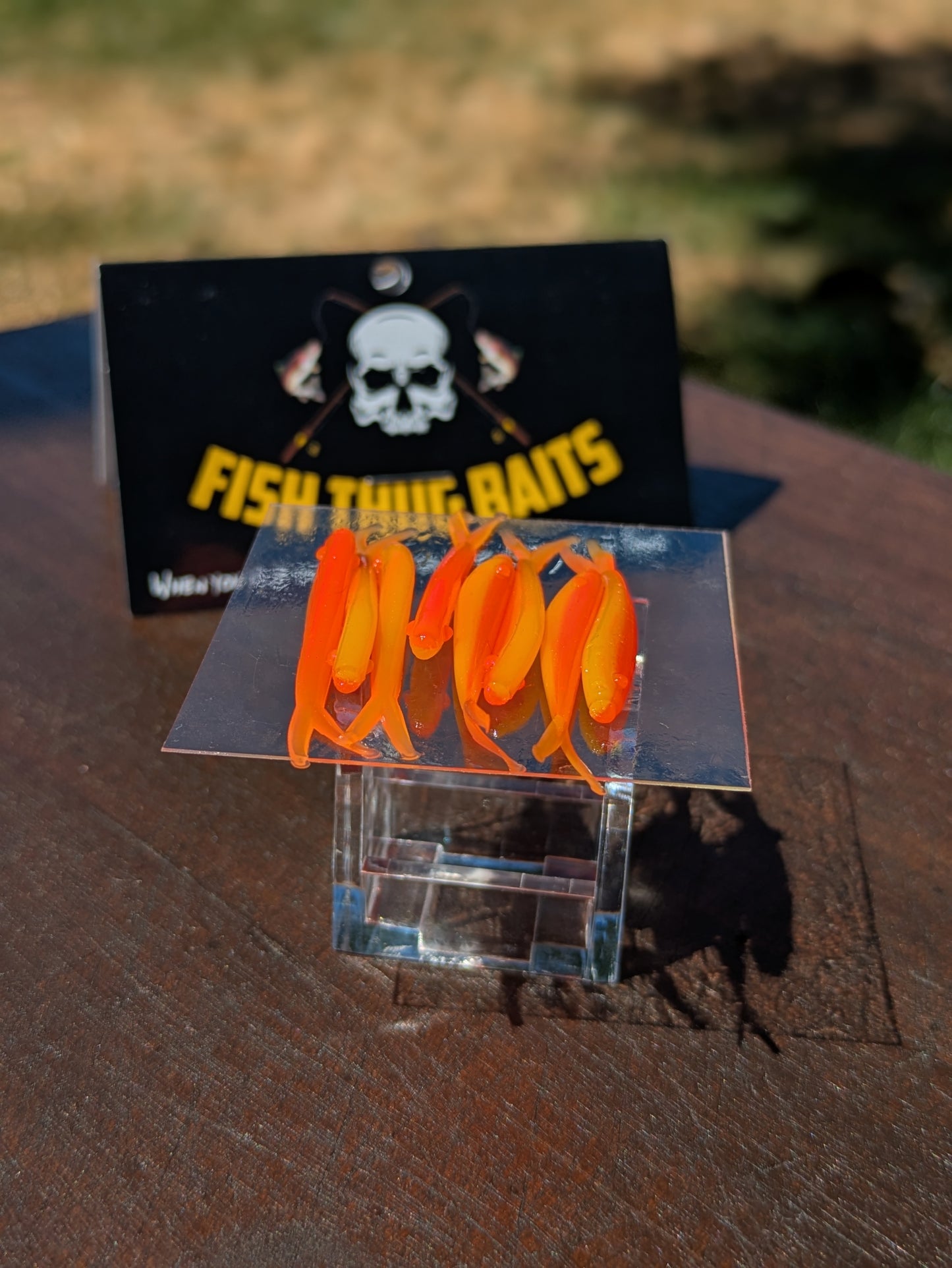 Fish Thugs - Sunset (Medium)