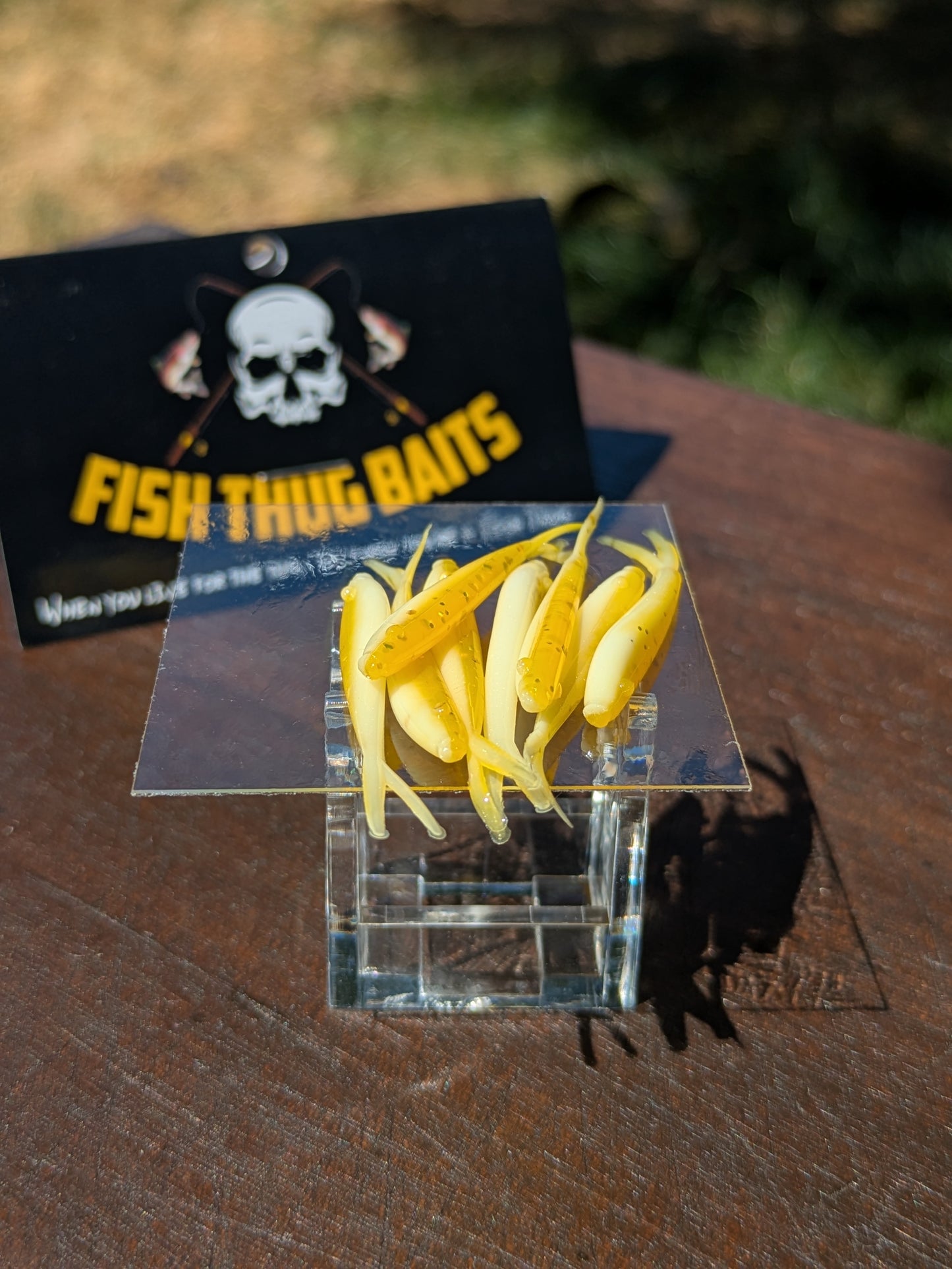 Fish Thugs - Yellow & White (Medium)