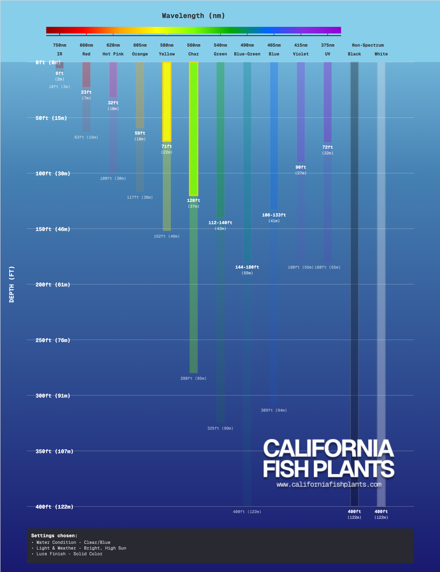 Fish Thugs - Chartreuse & White (Large)