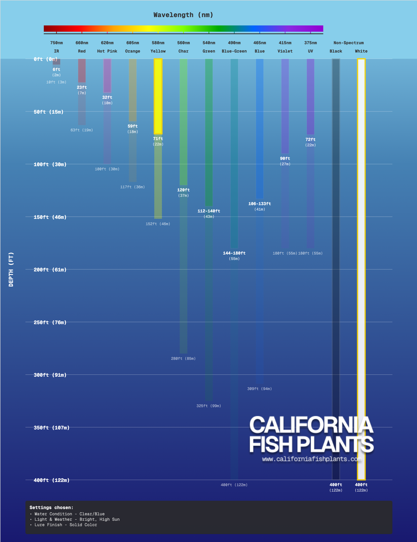 Fish Thugs - Yellow & White (Medium)