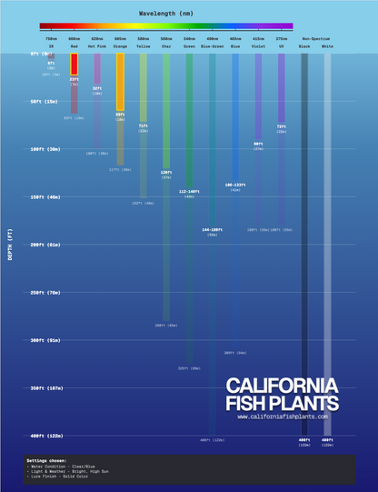 Fish Thugs - Sunset (Medium)