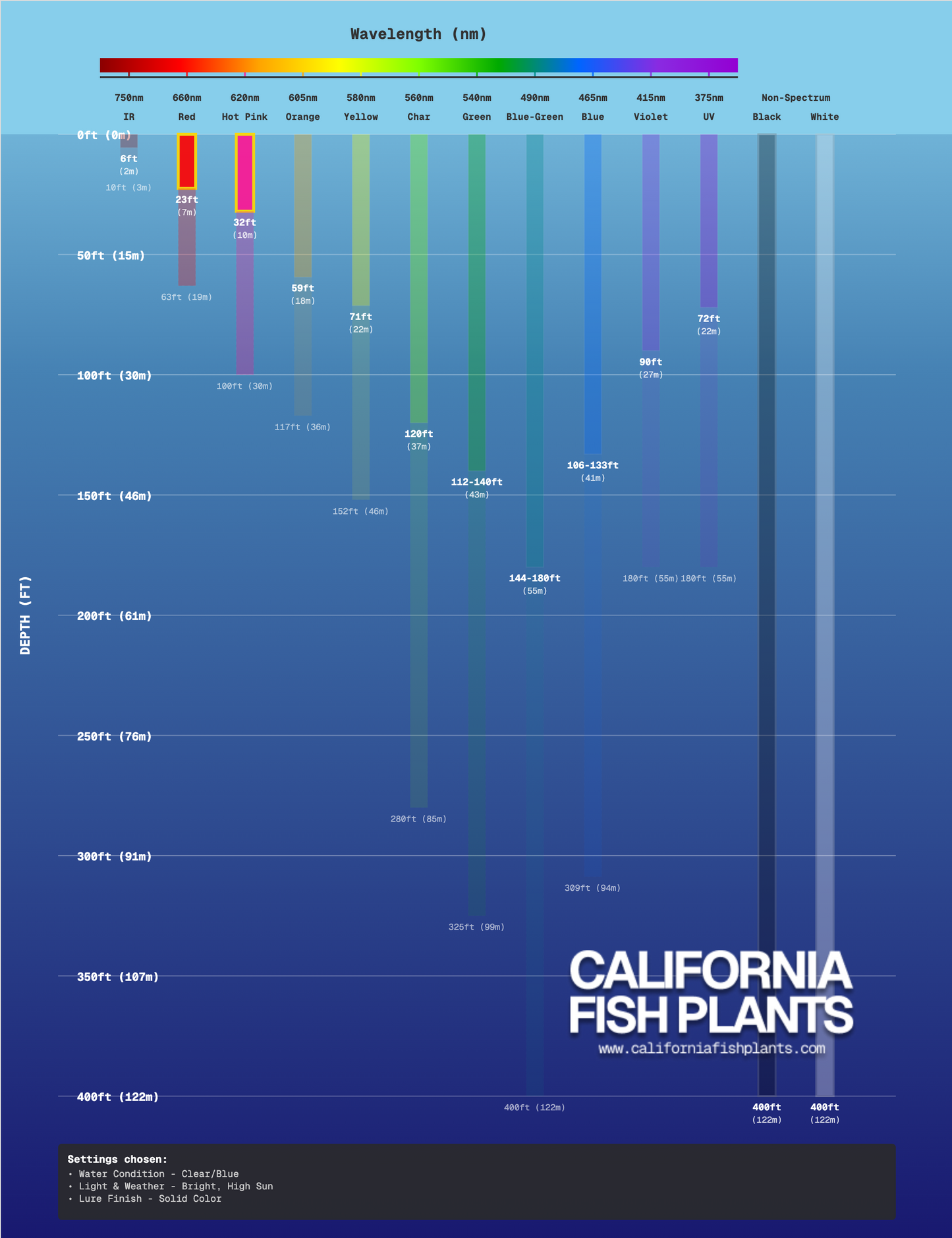 Fish Thugs - Fire & Ice (Medium)