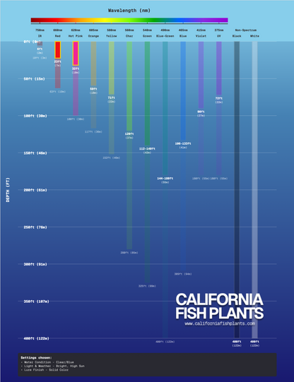 Fish Thugs - Fire & Ice (Medium)