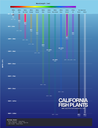 Fish Thugs - Fire & Ice (Small)