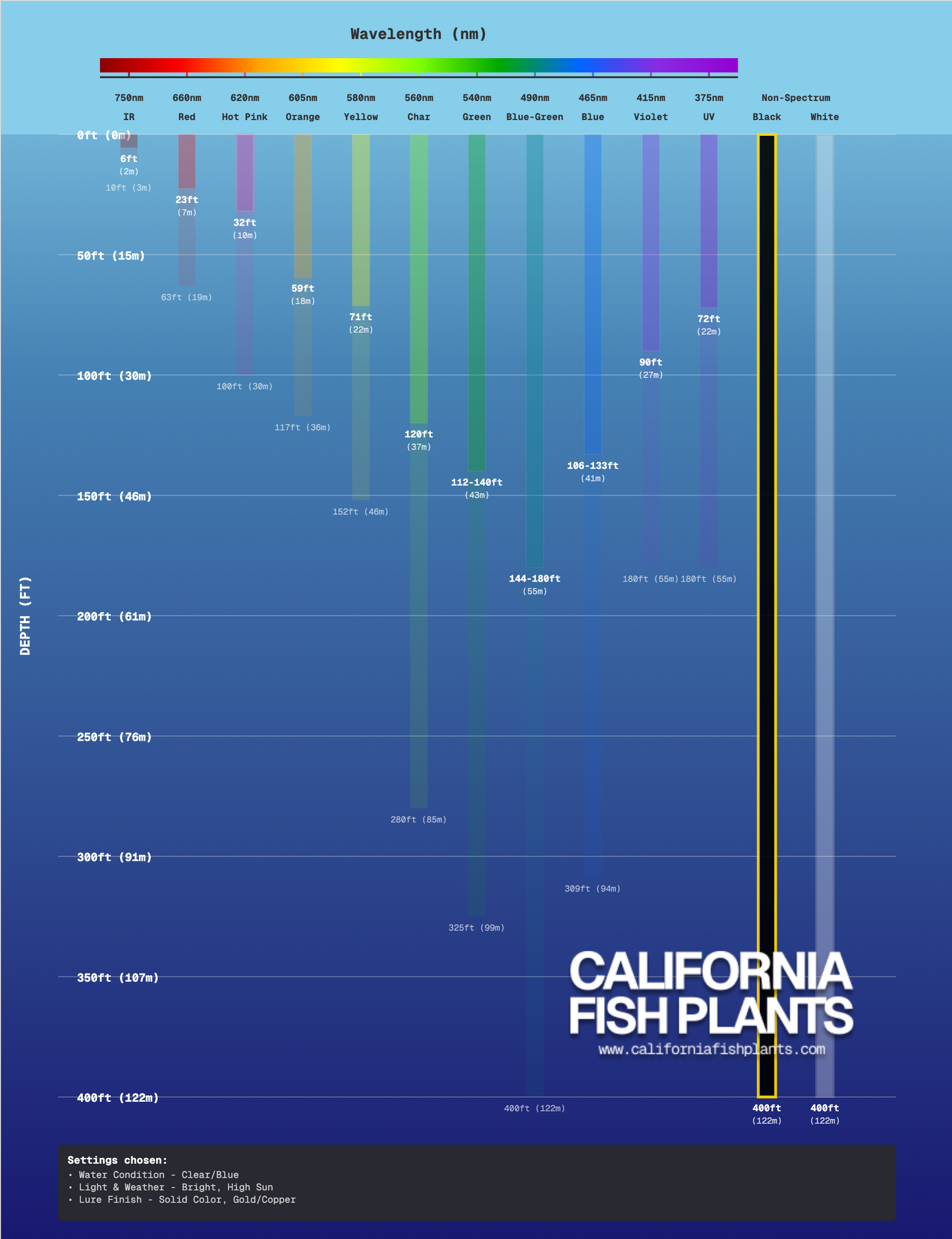 Fish Thugs - Black & Gold (Small)