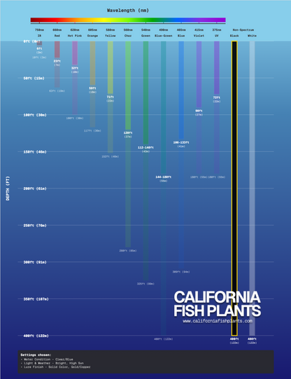 Fish Thugs - Black & Gold (Small)