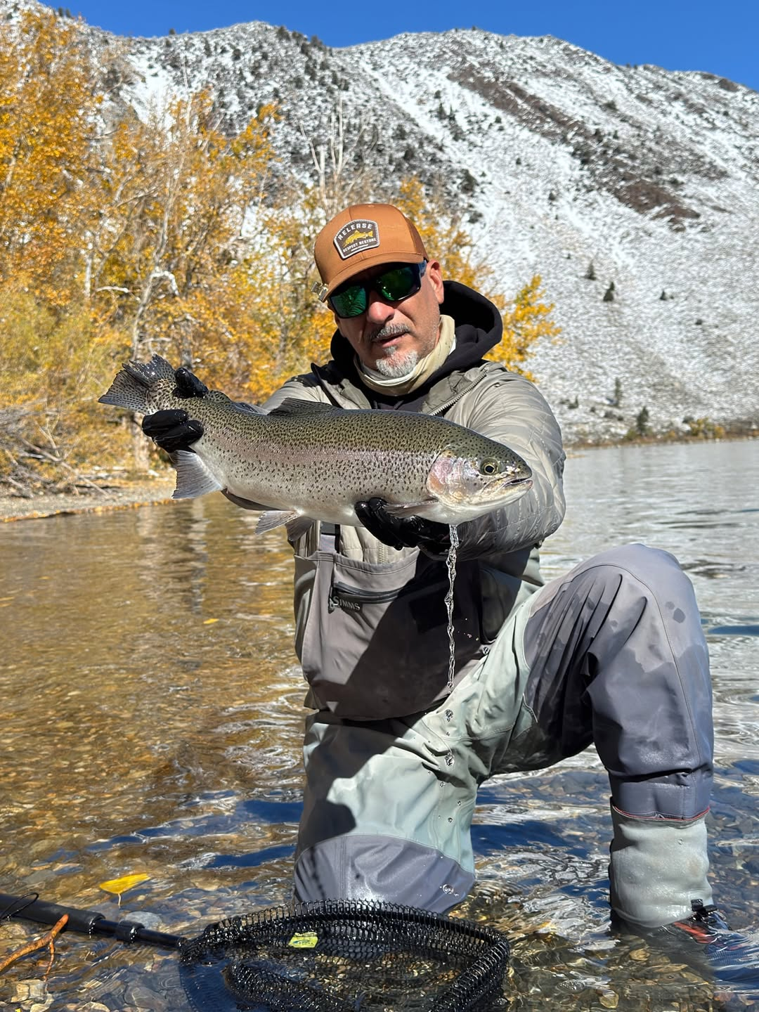 Made Baits - Minnow Rainbow Trout (1/16) 5-Pack