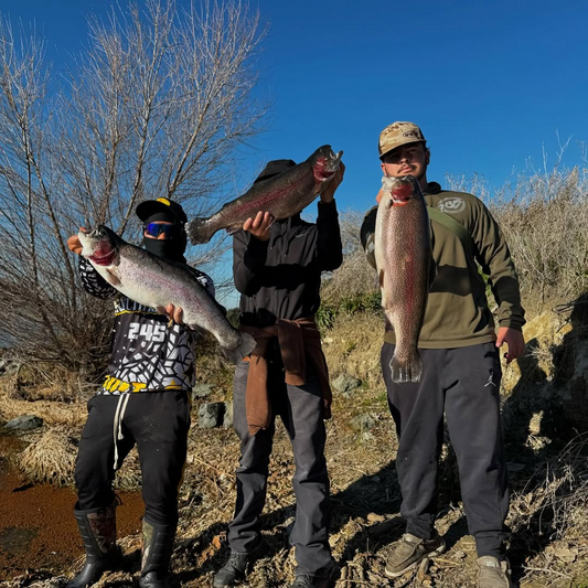 Fish Thugs - New Grasshopper (Medium) 8-Pack