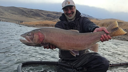 Made Baits - Minnow Rainbow Trout (1/16) 5-Pack