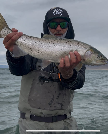 Made Baits - Minnow Rainbow Trout (1/16) 5-Pack