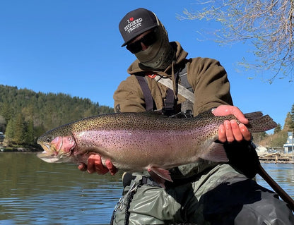 Made Baits - Minnow Rainbow Trout (1/16) 5-Pack